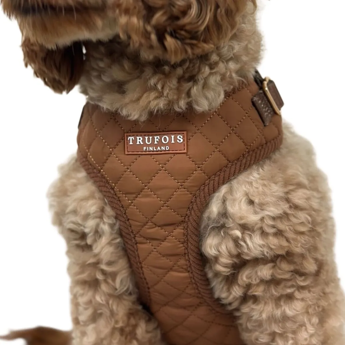 Trufois Lite -koiran valjaat, Macchiato Brown