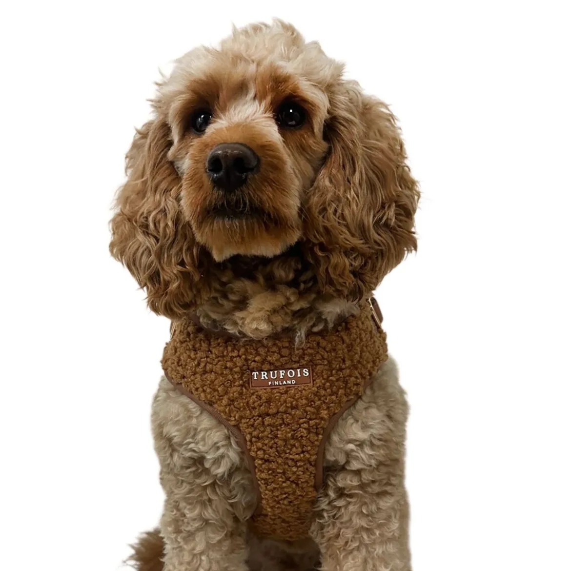 Trufois Lite -valjaat koiralle, chocholate brown