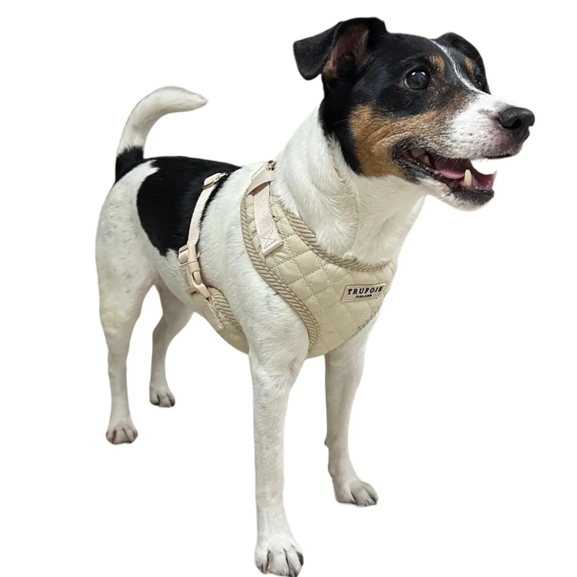 Trufois Lite -valjaat, Latte Beige