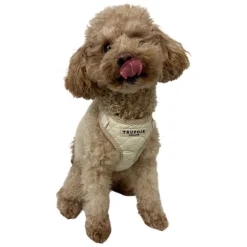 Trufois Lite -valjaat, Latte Beige