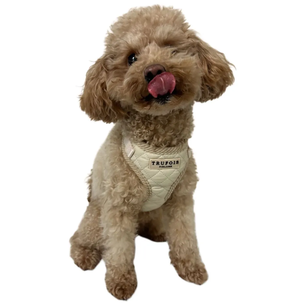 Trufois Lite -valjaat, Latte Beige