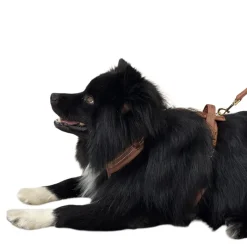 Valjas Trufois Comfy, ruskea