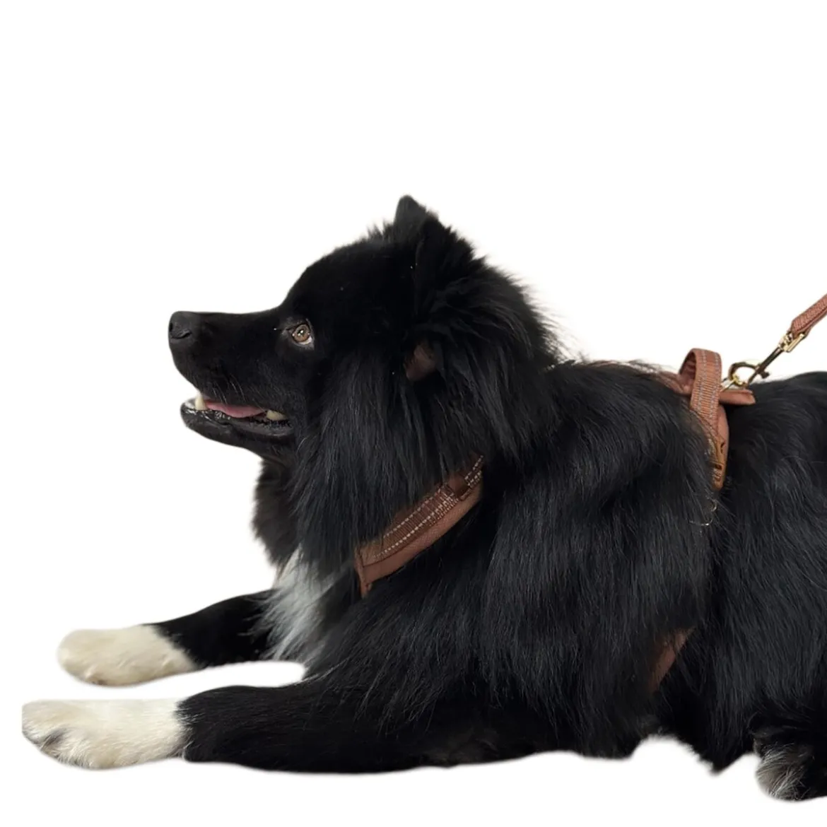 Valjas Trufois Comfy, ruskea