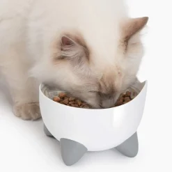 Vesiautomaatti kissoille & korotettu kuppi Catit Pixi Combo