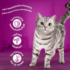 Whiskas Classic meals in jelly 60x85g