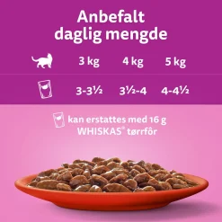 Whiskas Classic meals in jelly 60x85g
