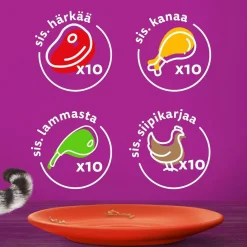 Whiskas 1+ gravy 40x85 g