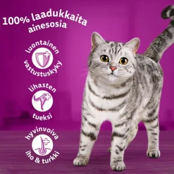 Whiskas 1+ gravy 40x85 g