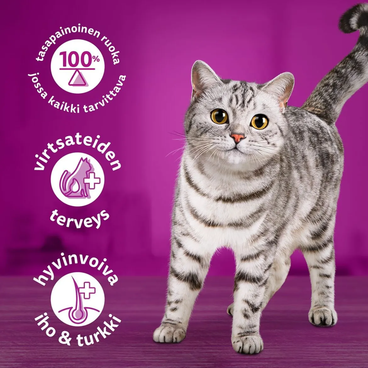 Whiskas kanaa kastikkeessa 400g