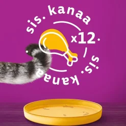Whiskas kanaa kastikkeessa 400g