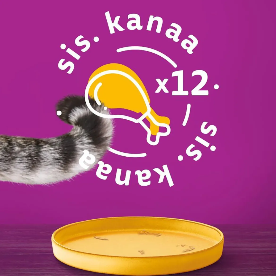 Whiskas kanaa kastikkeessa 400g