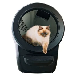 Whisker Litter-Robot 4, musta