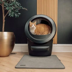 Whisker Litter-Robot 4, musta