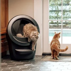 Whisker Litter-Robot 4, musta