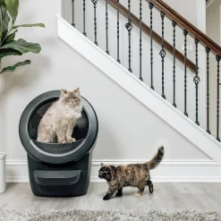 Whisker Litter-Robot 4, musta