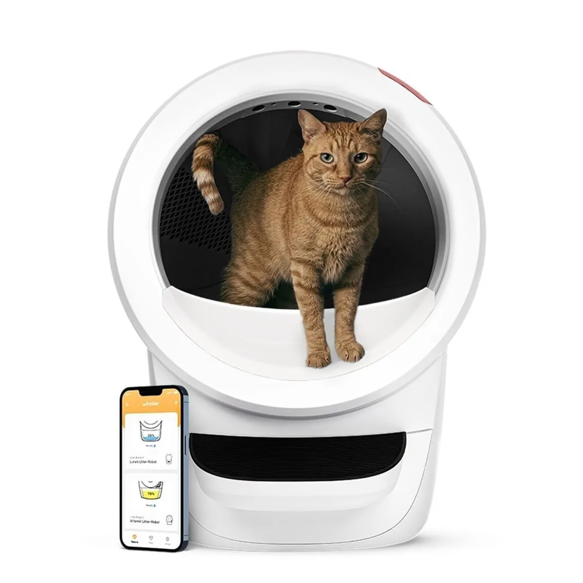Whisker Litter-Robot 4, valkoinen