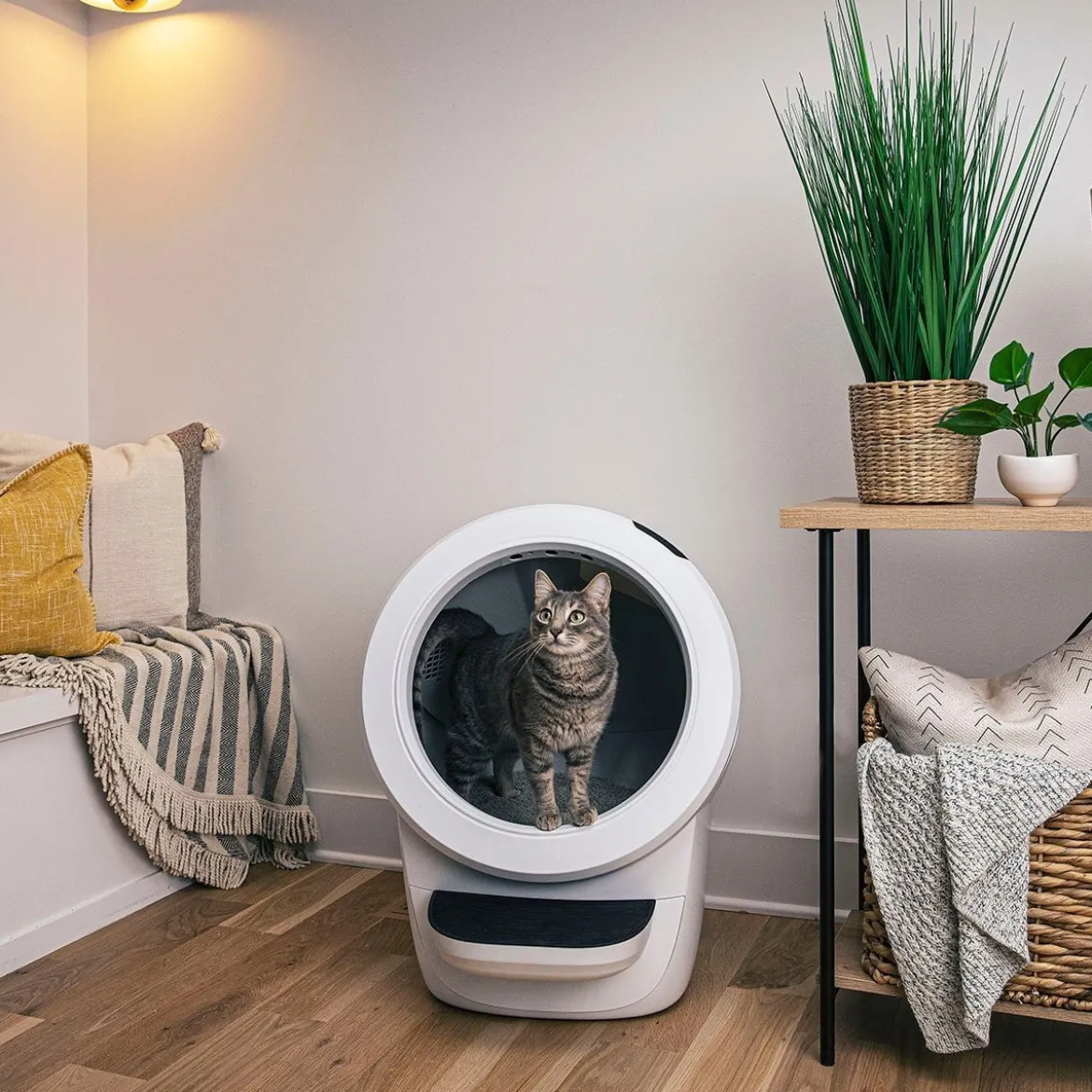 Whisker Litter-Robot 4, valkoinen
