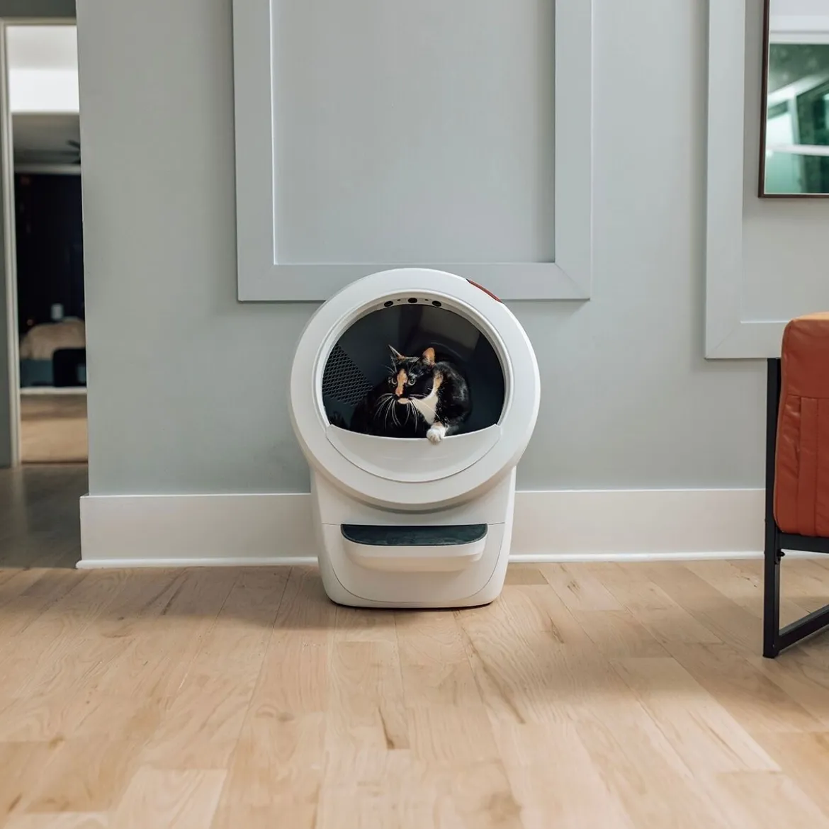 Whisker Litter-Robot 4, valkoinen