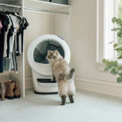 Whisker Litter-Robot 4, valkoinen
