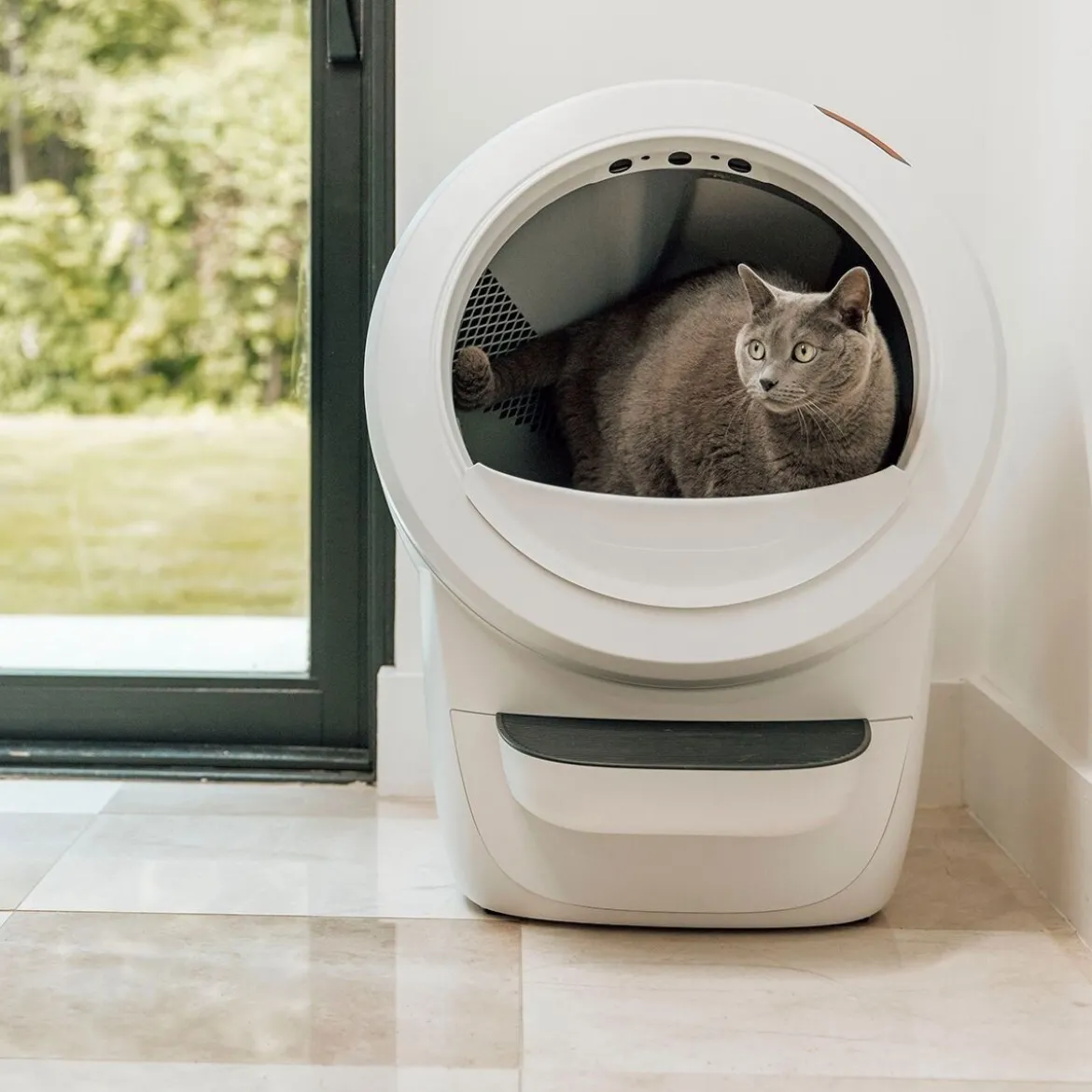 Whisker Litter-Robot 4, valkoinen