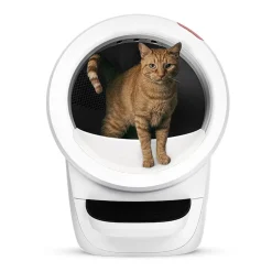 Whisker Litter-Robot 4, valkoinen