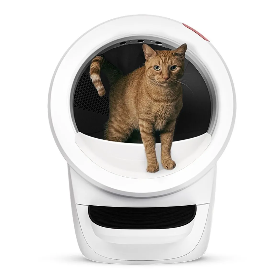 Whisker Litter-Robot 4, valkoinen
