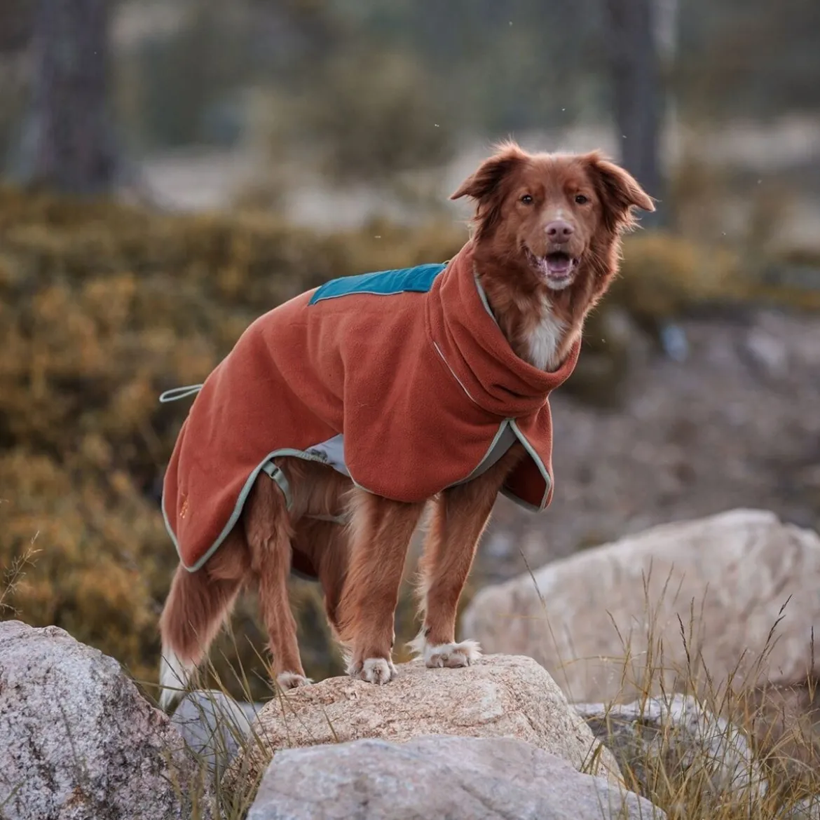 Woolly Wolf Alpha 360 Koiran fleecepusakka, Terracotta Mix