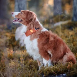 Woolly Wolf Alpha 360 panta, Terracotta Mix