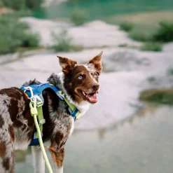 Woolly Wolf Alpha 360 valjaat, Deep Teal Mix