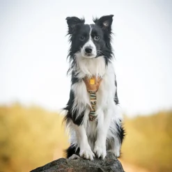 Woolly Wolf Cloudbeam -valjas