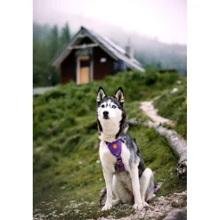Woolly Wolf Northern Lights valjaat