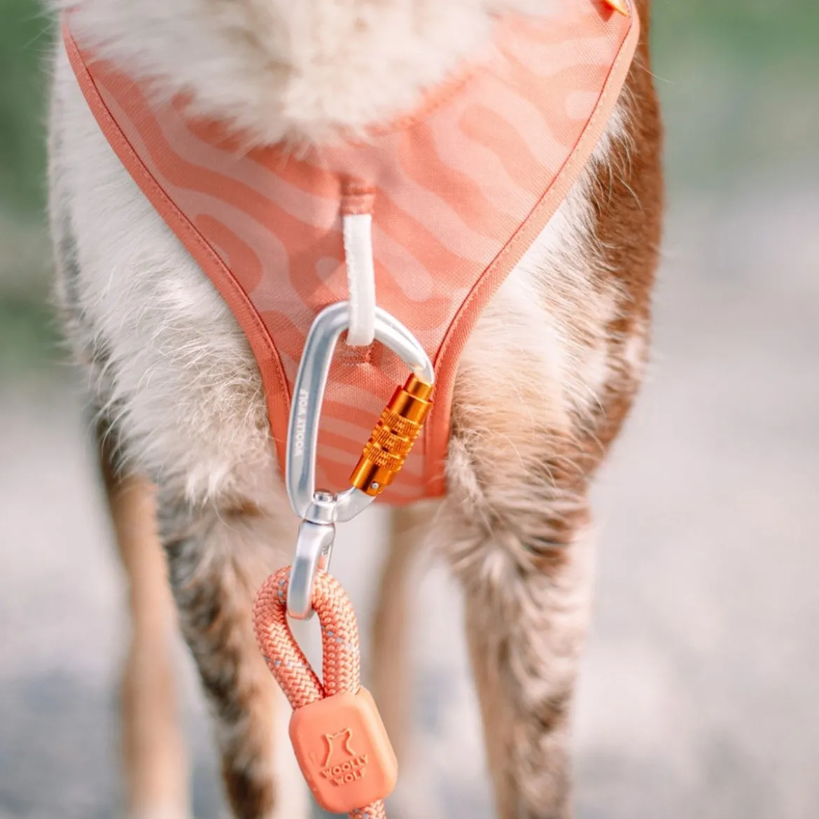 Woolly Wolf Roam valjaat, Salmon Pink Ripple