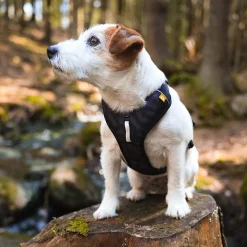 Woolly Wolf Roam y-valjas, Black Ripple