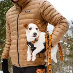 Woolly Wolf Sea to Summit hihna