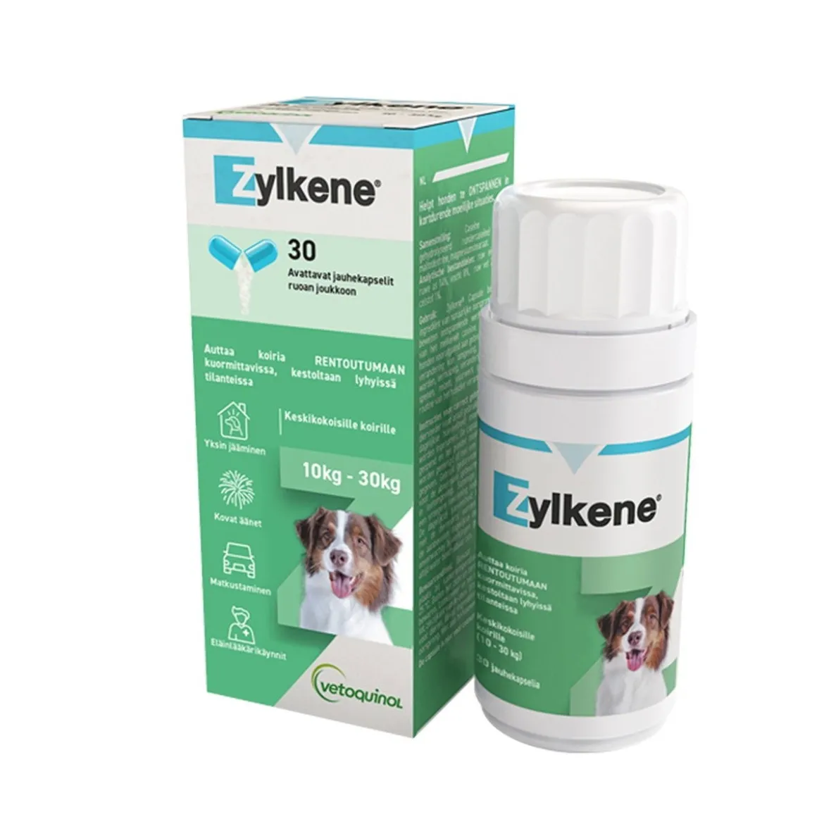 ZYLKENE-kapselit 30 kpl
